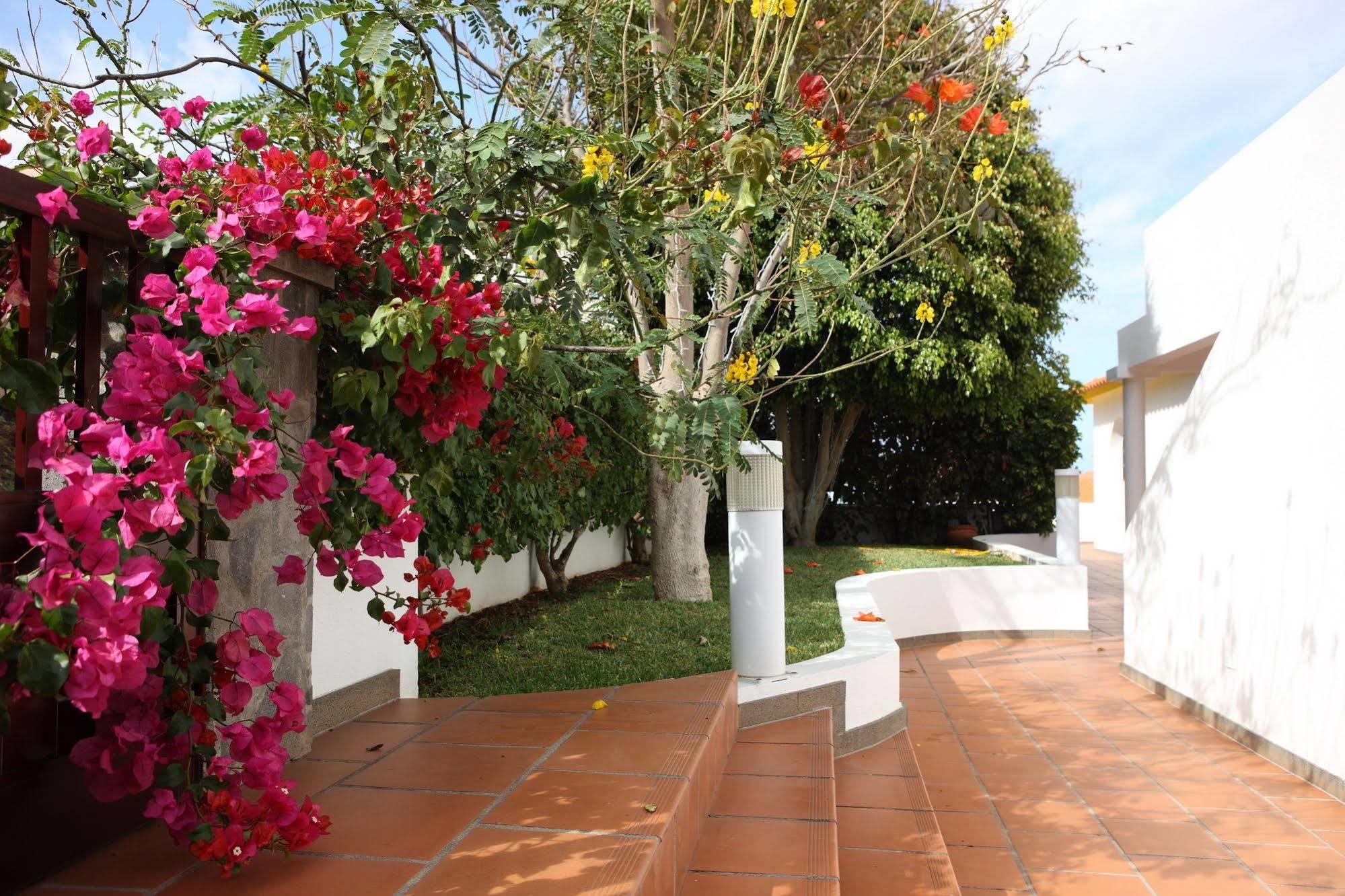 Canico Bay Apartments Εξωτερικό φωτογραφία